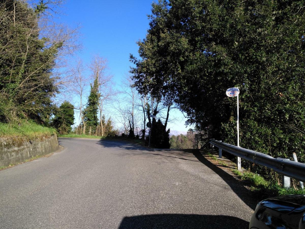 Il Piccolo Lord Appartement